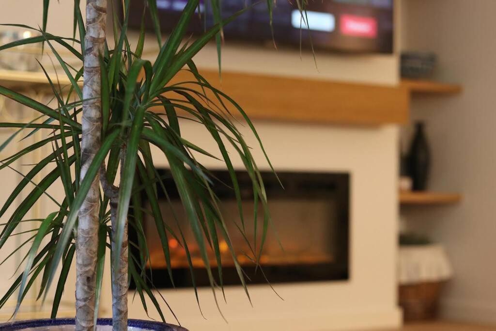 Lc Apartaments Voramar Benicàssim Zewnętrze zdjęcie